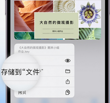 黑山apple维修中心分享iPhone文件应用中存储和找到下载文件