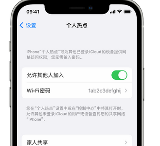 黑山apple服务站点分享iPhone上个人热点丢失了怎么办 