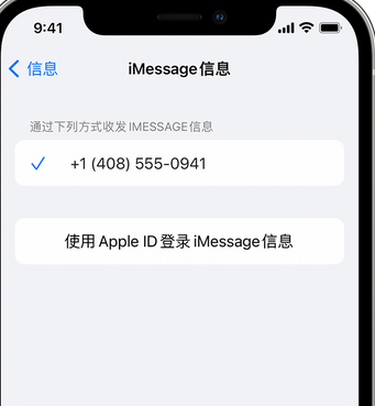 黑山apple维修iPhone上无法正常发送iMessage信息 