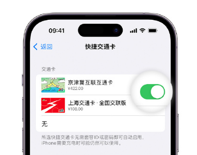 黑山apple维修点分享iPhone上更换Apple Pay快捷交通卡手绘卡面 