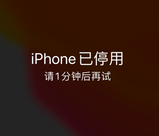 黑山苹果手机维修分享:iPhone 显示“不可用”或“已停用”怎么办？还能保留数据吗？ 