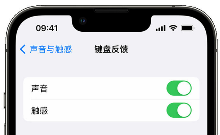 黑山苹果手机维修分享iPhone 14触感键盘使用方法 