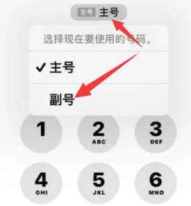 黑山苹果14维修店分享iPhone 14 Pro Max使用副卡打电话的方法 