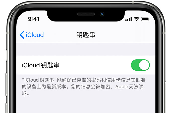 黑山苹果手机维修分享在 iPhone 上开启 iCloud 钥匙串之后会储存哪些信息 