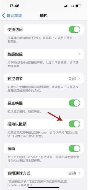 黑山苹果手机维修分享iPhone手机如何设置摇一摇删除文字 