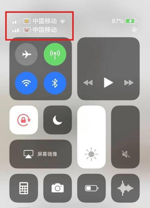 黑山苹果手机维修分享为 iPhone 12 双卡设置标签 
