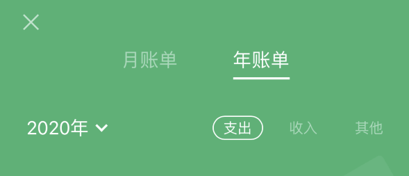 黑山苹果手机维修分享如何在 iPhone 上查看支付宝和微信年支出账单 